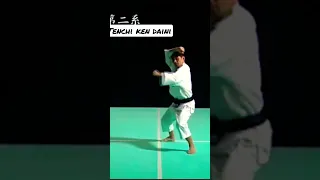 Tenchi Ken Dai ni | Shorinji Kempo ‼️ | Ken