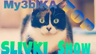 5 Песен которые использует канал Slivki Show