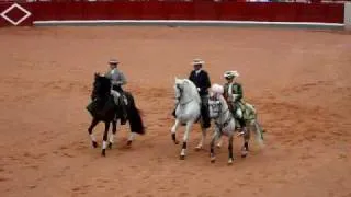 Bullfighting with horses