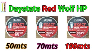 Daystate  Red Wolf HP - JSB Jumbo Monster  Red.  50mts -70mts e 100mts