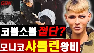 모나코 #샤를린 공비, 또한번 파격헤어!😱이번엔 아프리카 #코뿔소뿔 절단하다! 대체 무슨일?? 그 숨겨진 진실을 공개합니다.