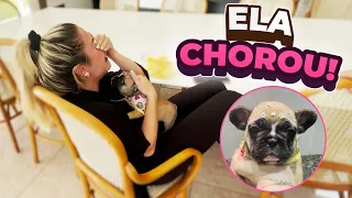 DEMOS UM CACHORRINHO PARA MINHA SOGRA E ELA CHOROU!!