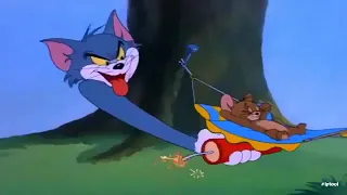 Tom Jerry