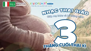 Nhạc Thai Giáo 3 Tháng Cuối Thai Kỳ: Nhạc Cho Bà Bầu 3 Tháng Cuối Thai Kỳ Giúp Kết Nối Tình Mẫu Tử