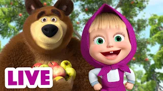 🔴 LIVE STREAM 🎬 Masha and the Bear 🌼💖 Good times 🌼💖