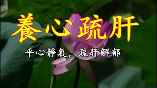 五音療疾丨平心靜氣，疏肝解鬱；空靈悠遠，去燥忘憂，好美的旋律！