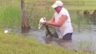 Florida man saves his puppy dragged into pond by alligator