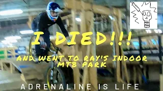 Ray's Indoor Mountain Bike Park : Four Days in MTB Heaven at the Worlds Largest Indoor Bike Park