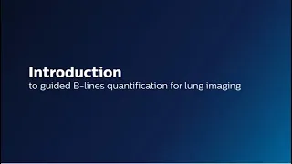 Introduction to guided B-lines quantification for lung imaging