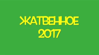 Жатвенное 2017