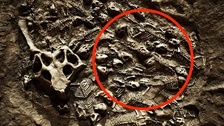 10 Geheimnisvolle Dinosaurier Fossilien!