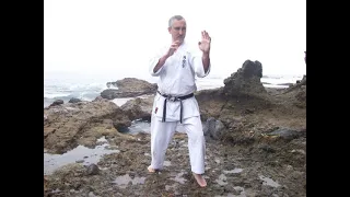 52 Masters Sensei Ed Smith- Shukokai Karate power punching!
