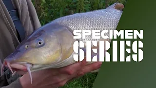 Big River Barbel Fishing - Tips & Tactics