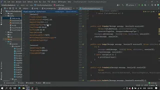 FIX protocol session with demonstration