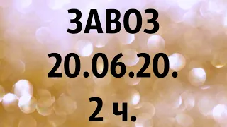 🌸Продажа орхидей. ( Завоз 20. 06. 20 г.) Отправка только по Украине. ЗАМЕЧТАТЕЛЬНЫЕ КРАСОТКИ👍