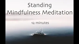 Standing meditation   12 minutes