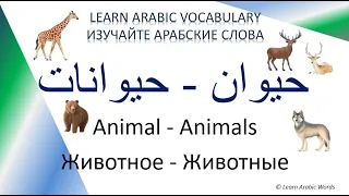 Arabic Words 50 - Topic: Animals - Plural / Тема: Животные - Множественное число