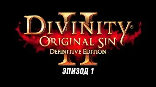 Прохождение Divinity: Original Sin 2 – Definitive Edition, эпизод 1 * Межсезонье Path of Exile