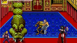 Battletoads & Double Dragon - The Revenge [Ver. 5.0] (OpenBoR) - Boss rush - real-time playthrough