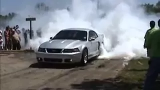 2003 Mustang Cobra Burnout - Badass
