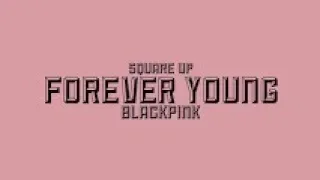 the ending of forever young by blackpink on 10 mins loop