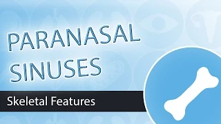 Paranasal Sinuses