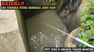 HOKI.!! GAK NYANGKA MANCING WADER DAN IKAN LELE LOKAL || NEMU ROMBONGAN IKAN NILA DI PINGGIR JALAN