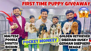 POCKET MONKEY 🐒 FIRST TIME PUPPY GIVEAWAY TO PET LOVERS 🐕😲 BEST PRICE PET SHOP IN HYDERABAD