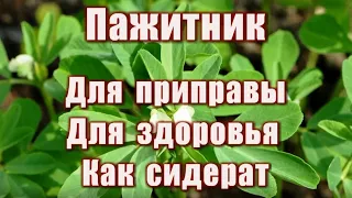 424_Пажитник. Для приправы. Для здоровья. Как сидерат