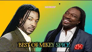 Mikey spice Best of Reggae lovers rock mix