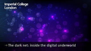 Briscoe Lecture 2014: The dark net – inside the digital underground