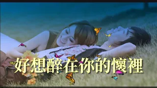 🎶💓好想醉在你的懷裡 💓🎶  演唱：一只舟