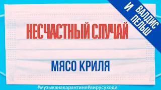 Несчастный случай и Валдис Пельш - Мясо криля в самоизоляции