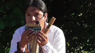 Inka Purinam. Индеец из Эквадора Inty «Pakarina».