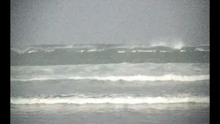 La Jolla Shores Bioluminescent Waves 12/29/23