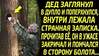 Дед побледнел, увидев записку в дупле, прочитав её он ужаснулся и помчался на помощь...