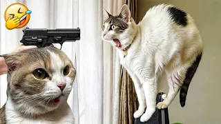 Funniest Animals 😄 New Funny Cats and Dogs Videos 😹🐶 - Part6