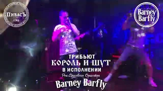 BARNEY BARFLY - Король и шут трибьют(21.07.18 - ресторан Пивасъ)