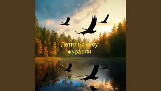 Летят по небу журавли