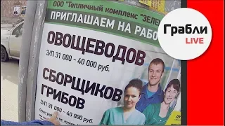 Не всё так радужно. Про работу в теплицах сети Магнит