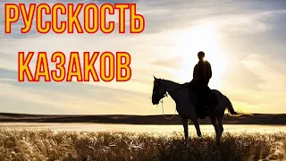 Казачья русскость. Кому должны казаки. Разумовские, Бакланов, Платов. Считали ли они себя русскими.