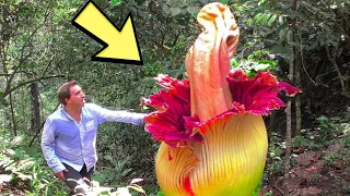 Plants You Won’t Believe Actually Exist