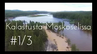 Taimenen ja harjuksen kalastusta Ruotsissa Moskoselissa 2017 osa 1/3 // Vaan kalastusta(4)