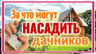 Новые штрафы для дачников в 2024 году