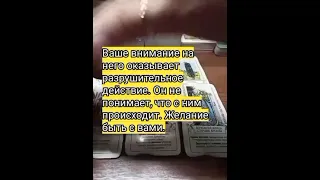 Что он хочет вам сказать?