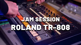 Jam session with Roland TR-808