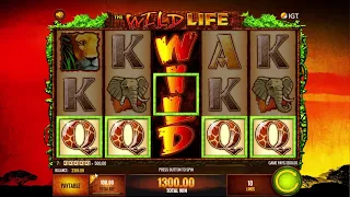 Up to $200/Spin on The Wild Life