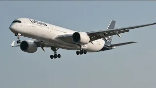 Lufthansa A350-900 landing at YYZ Toronto Pearson - *4K*