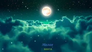 Bakhtin - Малая