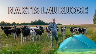 Šapalų Žvejyba Minijos Upėje Ir Naktis Laukuose